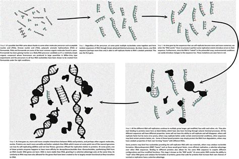 Theories On The Origin Of Life | Origin Of Life Evolution