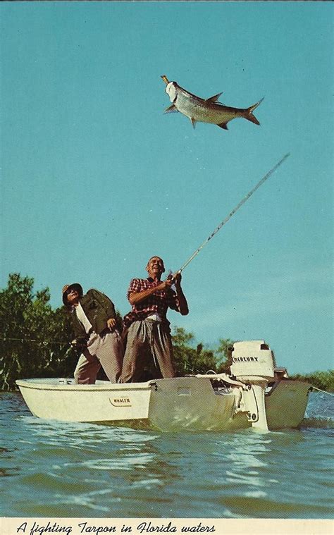 Vintage Travel Postcards: Florida Fishing