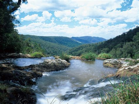 Springbrook Plateau, Springbrook National Park - Attraction - Queensland