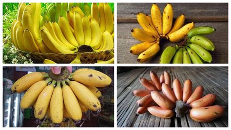 Vietnamese bananas: Top 5 delicious dishes that go beyond grilled bananas - Vietnam Travel Online