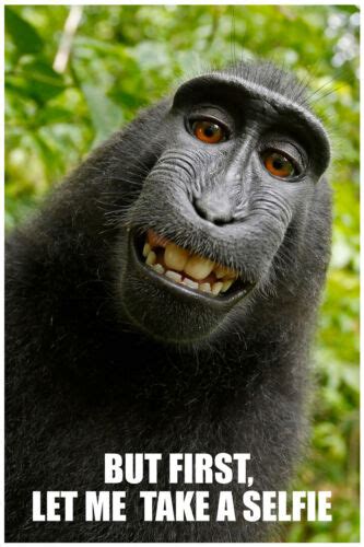 Monkey Smiling Meme