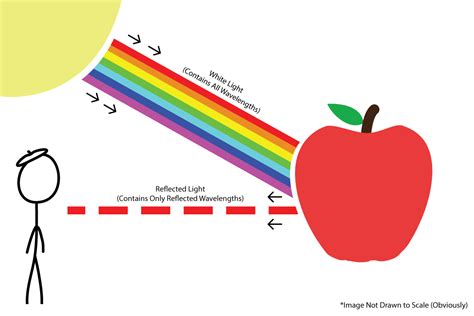 CeipToursScience5: UNIT 6 NATURAL SCIENCE: LIGHT