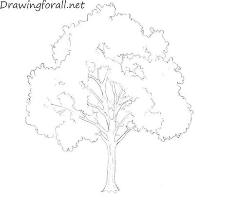 How to Draw Pl Alm Trees - Fondren Wituabled