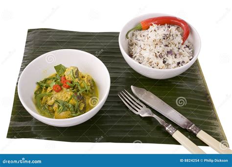 Lamb Curry and Rice stock photo. Image of chilli, typically - 8824254