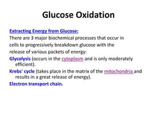 Carbohydrate metabolism- Glycolysis.pptx