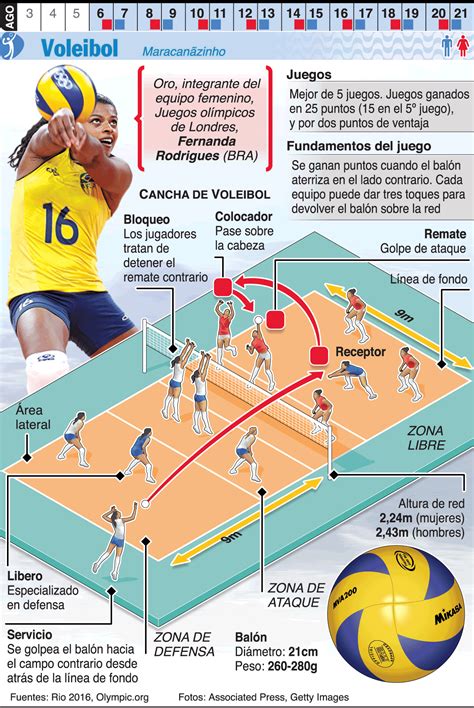 Dibujo De Cancha De Voleibol Con Sus Jugadores