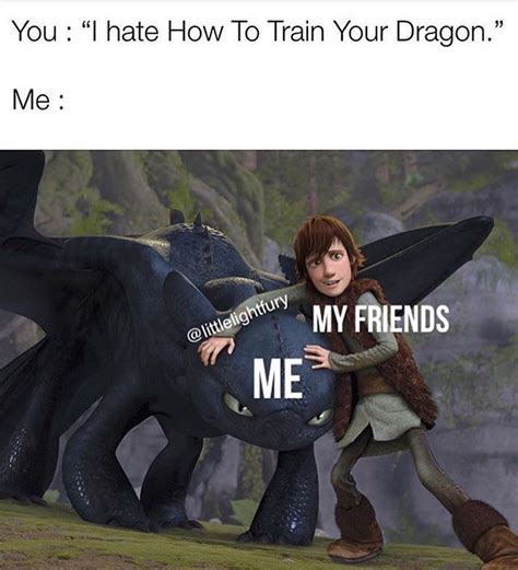 HowToTrainYourDragon_Lovers on Instagram: "Me 😡😡😡 😂😂 Credits for ...