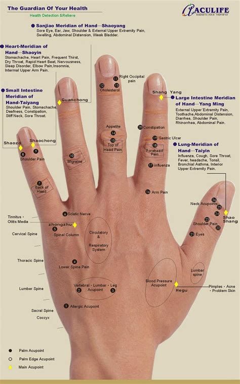 16 best Hand reflexology charts images on Pinterest | Acupuncture, Acupressure and Acupressure ...