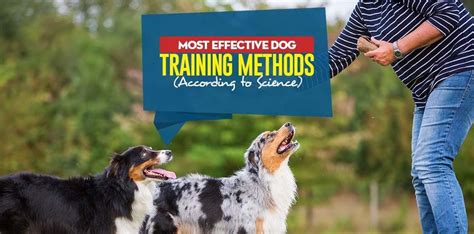 Most Effective Dog Training Methods According to Science