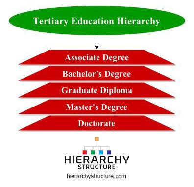 Hierarchy of Tertiary Education Structure | Hierarchy Structure