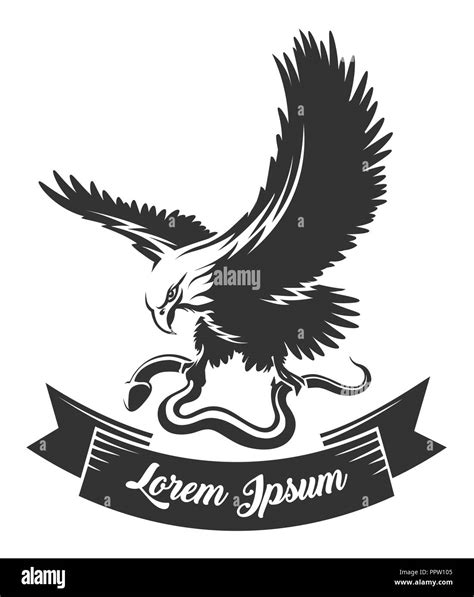 Eagle holds snake in a claws and ribbon for your text drawn in engraving style. Vector ...