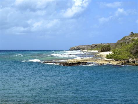 Beach Caribbean Antilles Sandy - Free photo on Pixabay - Pixabay