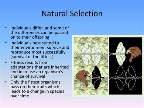 PPT - Ch 15 “Darwin’s Theory of Evolution” PowerPoint Presentation - ID:2445907