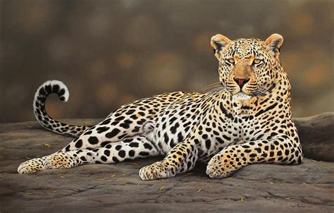 Hyperreal animal paintings