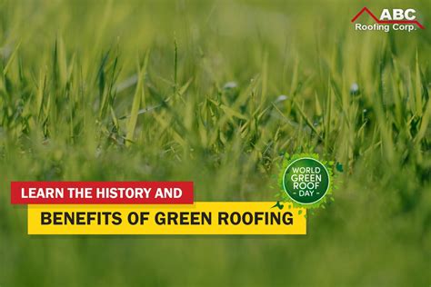 It's World Green Roof Day! Here Are Some Green Roofing Facts