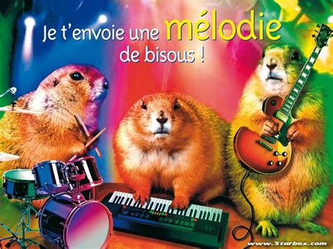 Carte Anniversaire Animée Gratuite Musicale | Joyeux Anniversaire