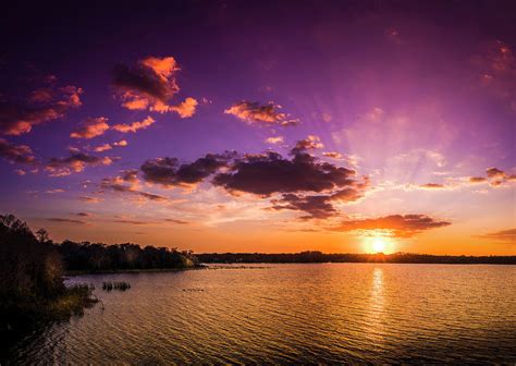 Lake Tarpon Sunset Photograph by Marvin Spates - Pixels