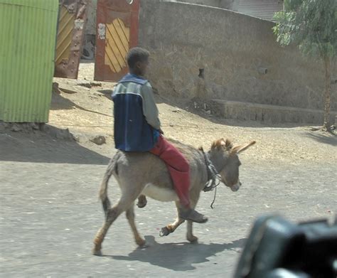 Adama - Oromia, Ethiopia - Around Guides