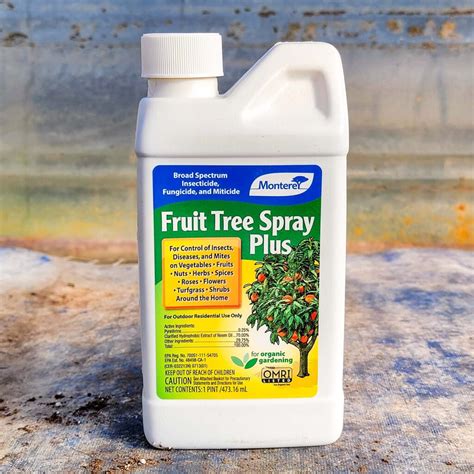 Best Organic Fungicide For Fruit Trees - PestPhobia