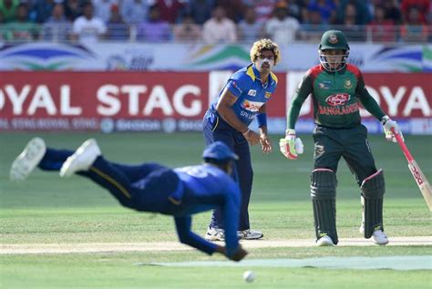 Asia Cup 2018: Tigers thrash Sri Lanka by 137 runs - in pictures - Arabian Business: Latest News ...