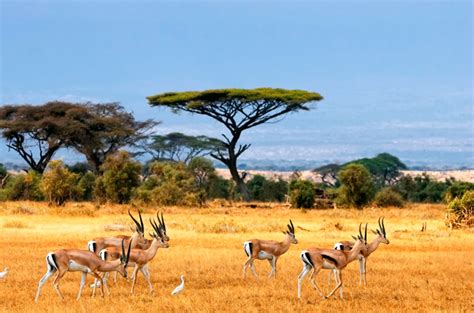 Omo National Park – Scenic Ethiopia Tours