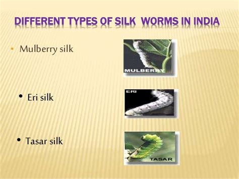 Sericulture: History,silk route & types of silk