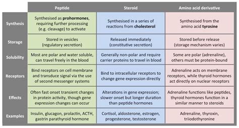 Types of hormones chart