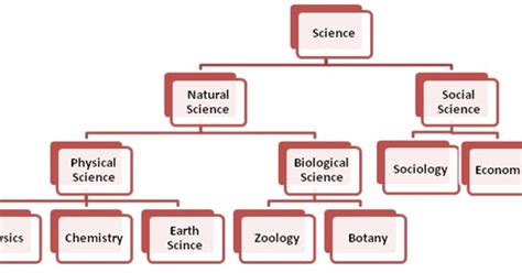 Branches Of Science Concept Map - vrogue.co