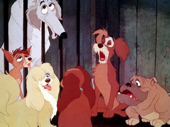 Pound Dogs (Lady and the Tramp) | Disney Versus Non-Disney Villains Wiki | FANDOM powered by Wikia