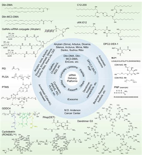 Optimization of siRNA Design