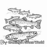 Trout Coloring Pages  Free & Printable sketch template