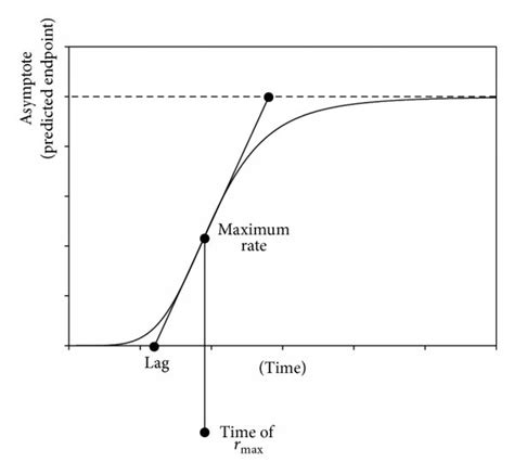 Schematic of modified Gompertz curve (modified from [45]). | Download Scientific Diagram