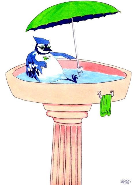 Bird Bath Drawing by Ben Leary