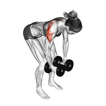 Dumbbell Rear Delt Fly - Guide, Benefits, and Form