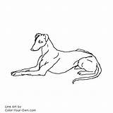 Greyhound Laying Down Coloring Page sketch template