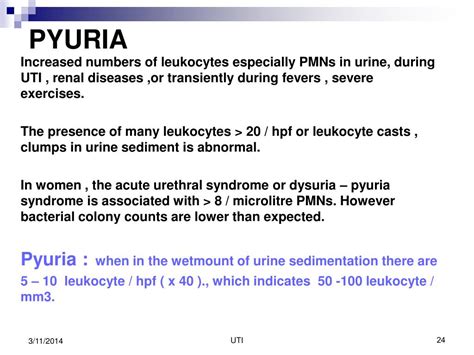 PPT - Laboratory Diagnosis of Urinary Tract Infections PowerPoint ...