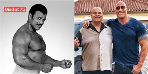 The Rock's Father Rocky Johnson Dies, Leaves African-American Wrestling ...