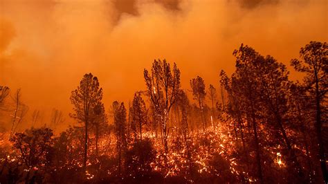 FOTOS: Un devastador incendio forestal devora "todo a su paso" en el ...