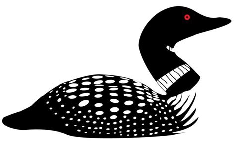 free loon clipart | Loon tattoo, Painted paddles, Clip art