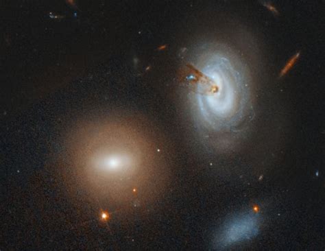 Hubble Spies Doomed Spiral Galaxy Plunging Into the Coma Cluster (and ...