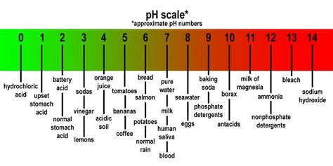 ph scale |ASA Science Assessment | Yeast infection, Soap, Liquid soap