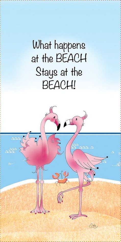 Flamingos | Funny flamingo, Fancy flamingo, Flamingos quote