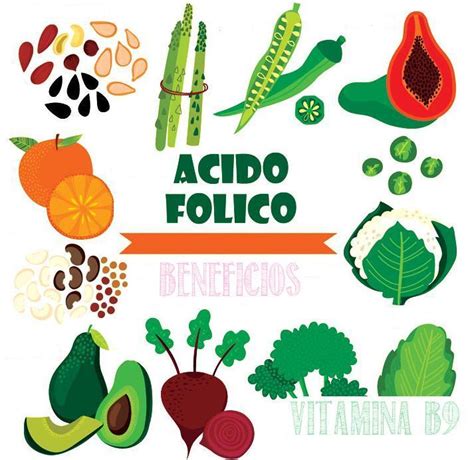 9 Beneficios de la Vitamina B9 Acido Folico