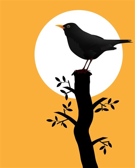 Download Blackbird, Bird, Nature. Royalty-Free Stock Illustration Image ...