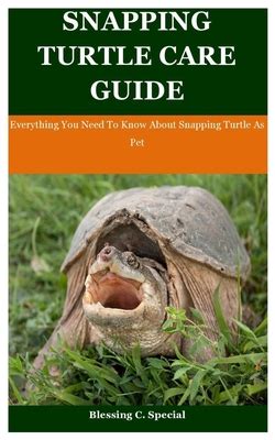 Snapping Turtle Care Guide: Everything You Need To Know About Snapping Turtle As Pet by Blessing ...