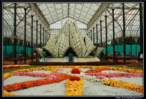 Prime Photos: Lalbagh Flower Show - August 2011