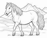 Icelandic Horse Coloring Pages sketch template