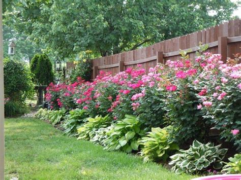 25 Rose Garden Border Ideas You Must Look | SharonSable