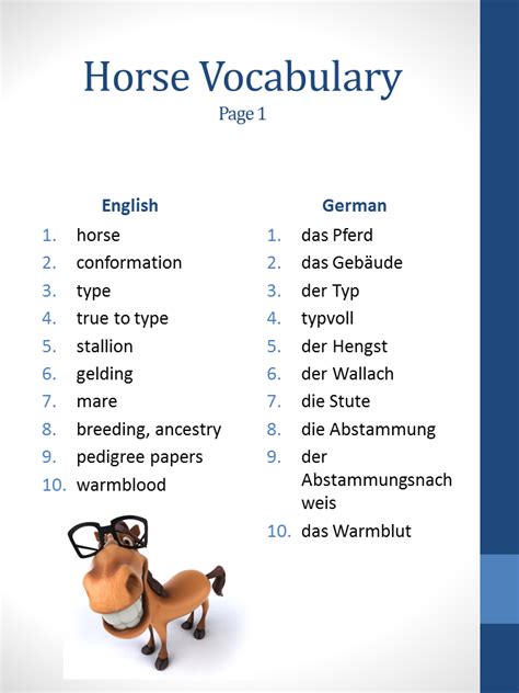 Horse related vocabulary, page 1 | Riding lessons, Learn german, Vocabulary