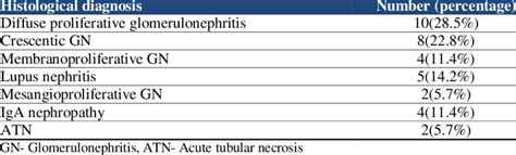 Histological diagnosis of clinically suspected RPGN | Download Scientific Diagram